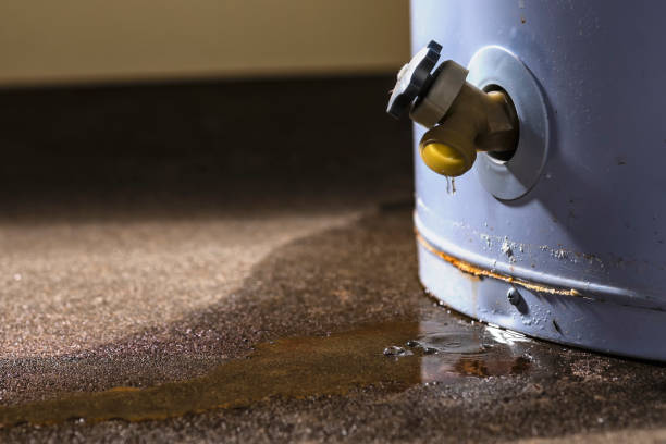 Best Local water damage restoration  in Springdale, NC