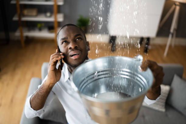 Best Water damage contractors near me  in Springdale, NC