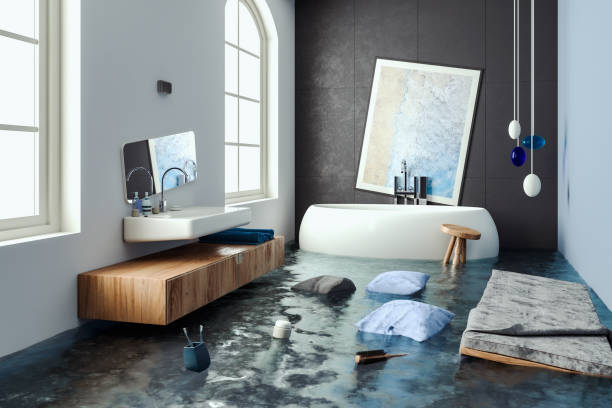 Best Professional water damage repair  in Springdale, NC