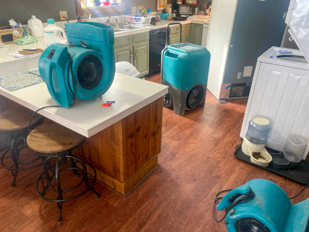 Best Professional water damage repair  in Springdale, NC