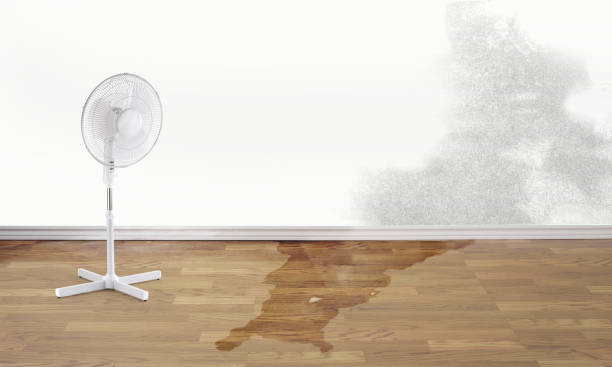 Best Fire Damage Restoration  in Springdale, NC