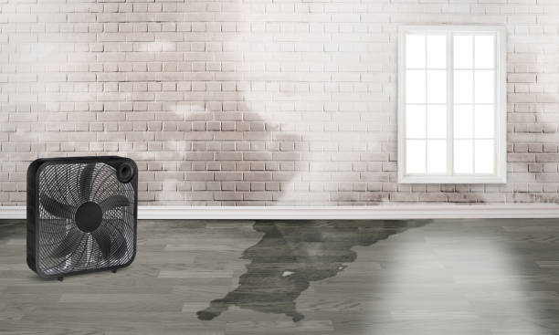 24/7 water damage repair in Springdale, NC
