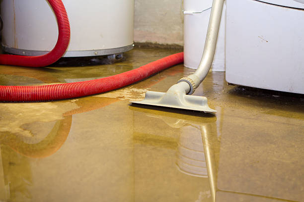 Best Water damage restoration near me  in Springdale, NC