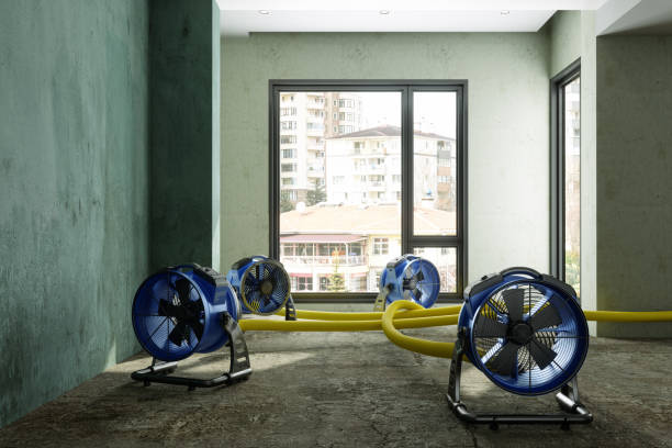 Best Water damage restoration insurance claims  in Springdale, NC